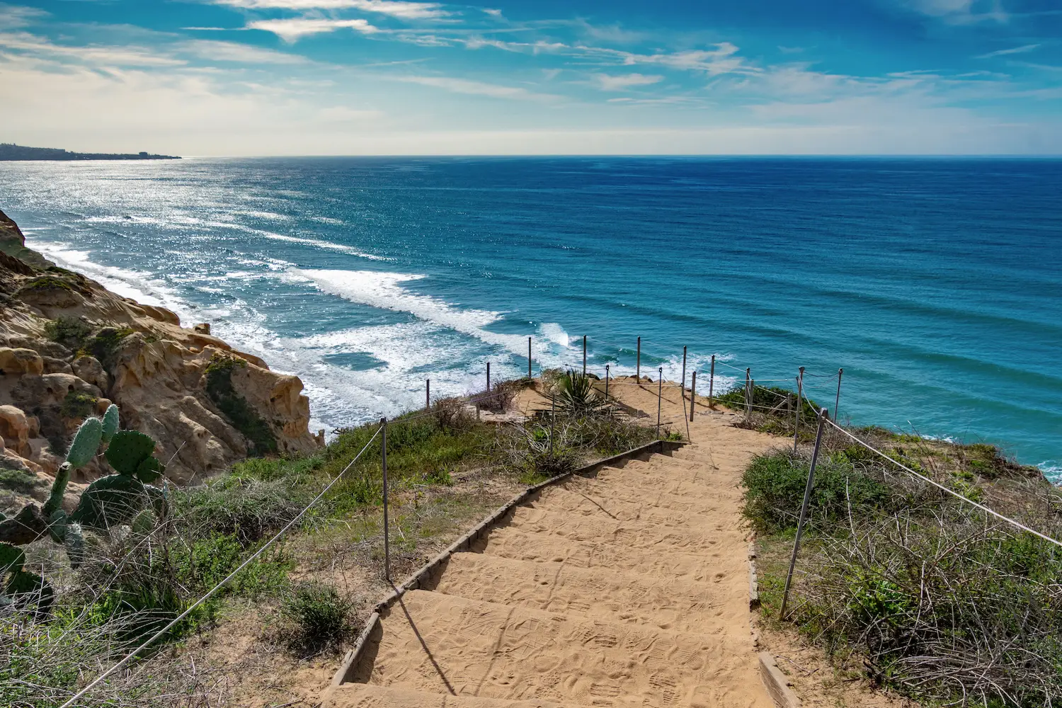 Torrey Pines State Reserve Loop trail in La Jolla, San Diego