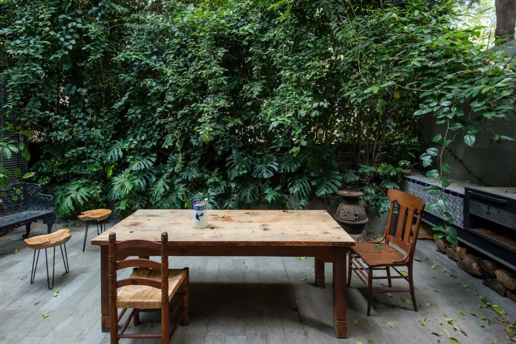 Backyard of Mexico City modern architect home owned by Rosa Agraz and Alejandro Solís in San Ángel