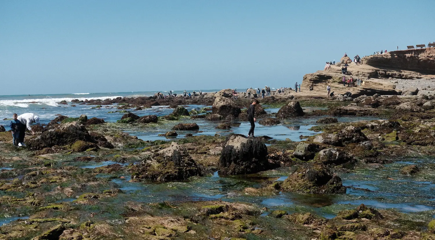 Cheap date ideas in San Diego featuring the Point Loma tidepools at Cabrillo National Monument