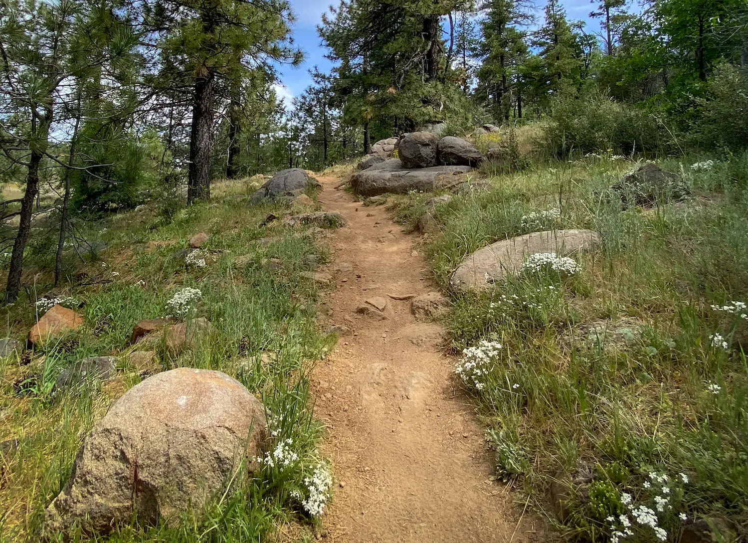 Best Hikes in Southern California featuring Big Laguna Trail in Mount Laguna near San Diego