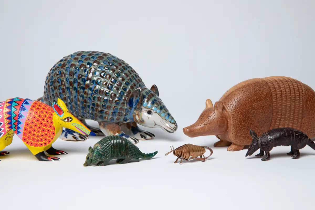 Fun things to do in San Diego memorial day weekend May 21-26, 2025 featuring Tuck and Roll: The Art of Armadillos art exhibit at Mingei International Museum