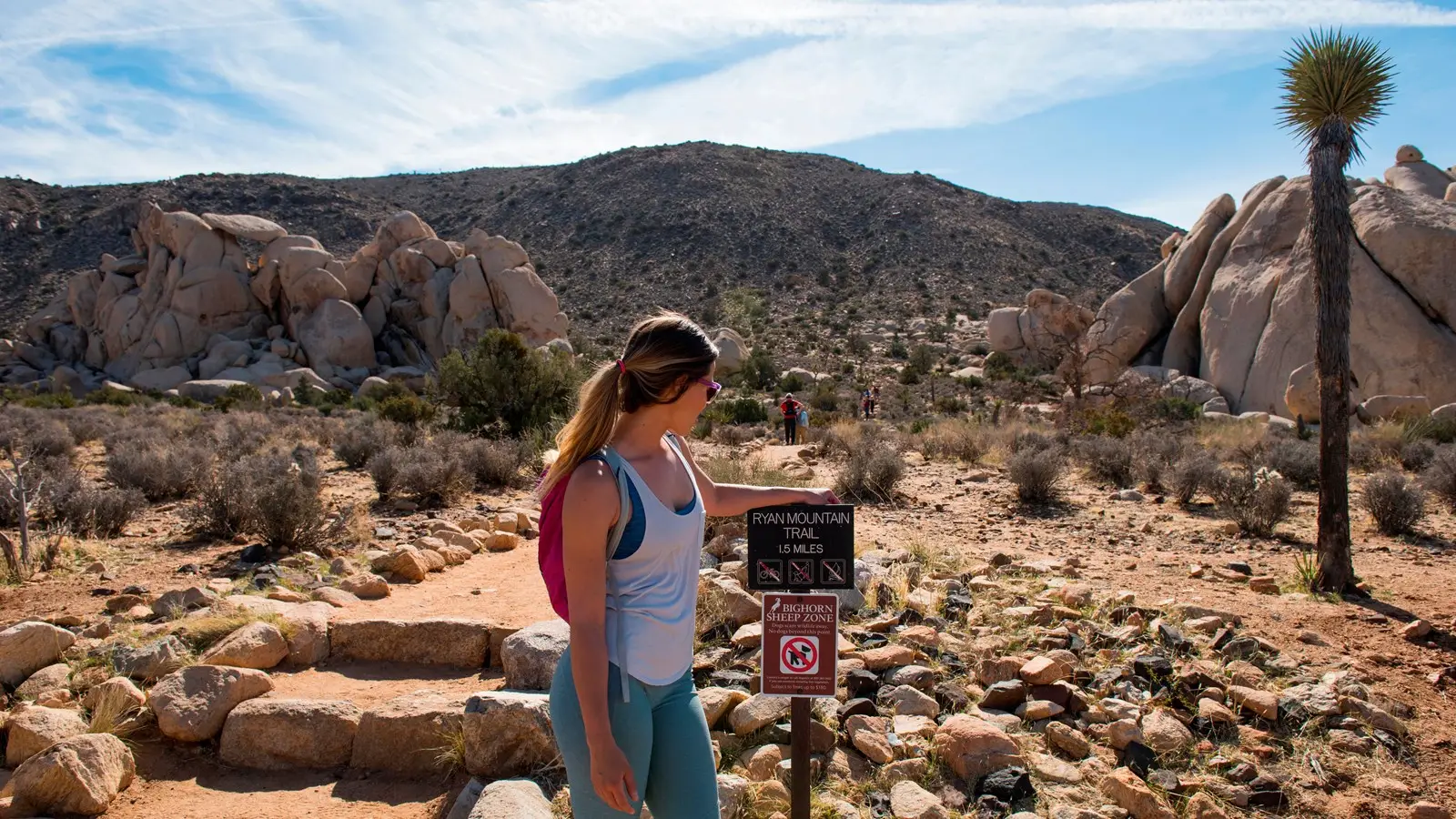 Best Hikes in Southern California featuring Ryan Mountain trail in Joshua Tree National Park