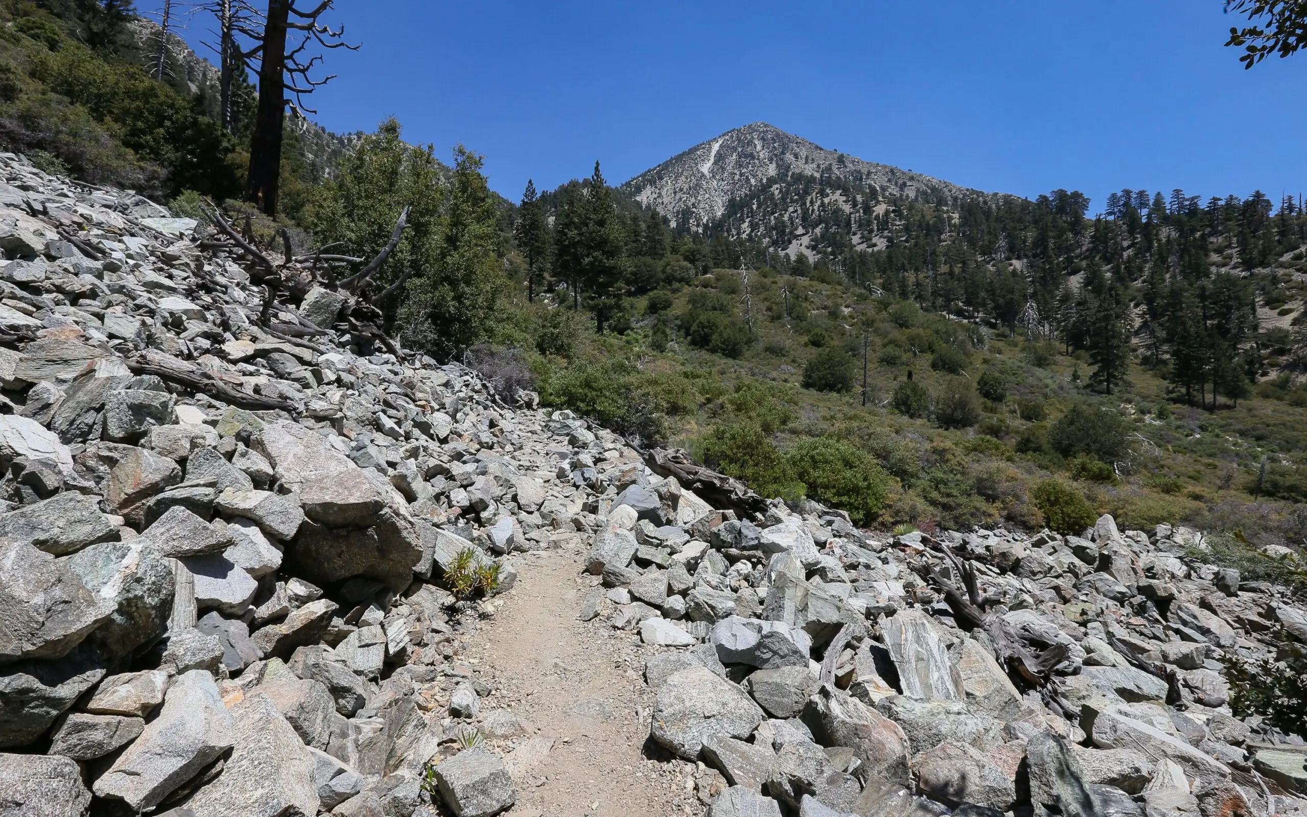 Best Hikes in Southern California featuring Icehouse Canyon trail near Mount Baldy