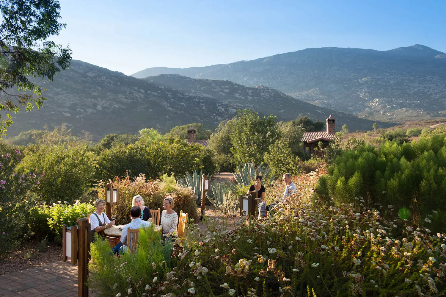 Guests at dinner while at Mexican wellness retreat Rancho La Puerta near Tecate in Baj California