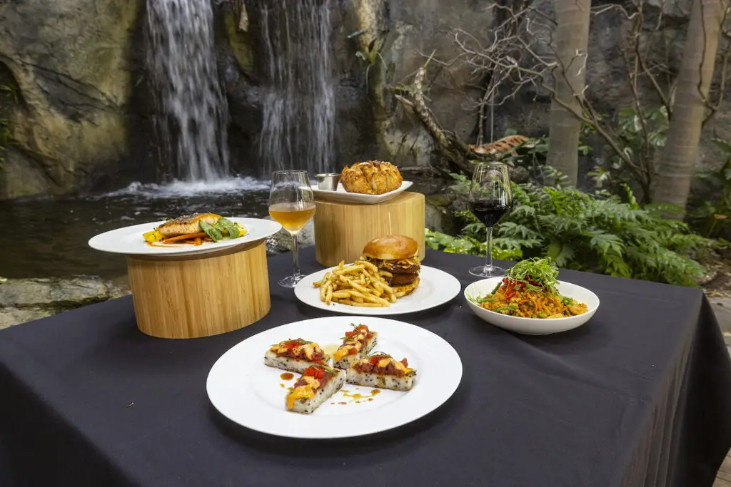 Meet the Chef Heading San Diego Zoo's Food Program