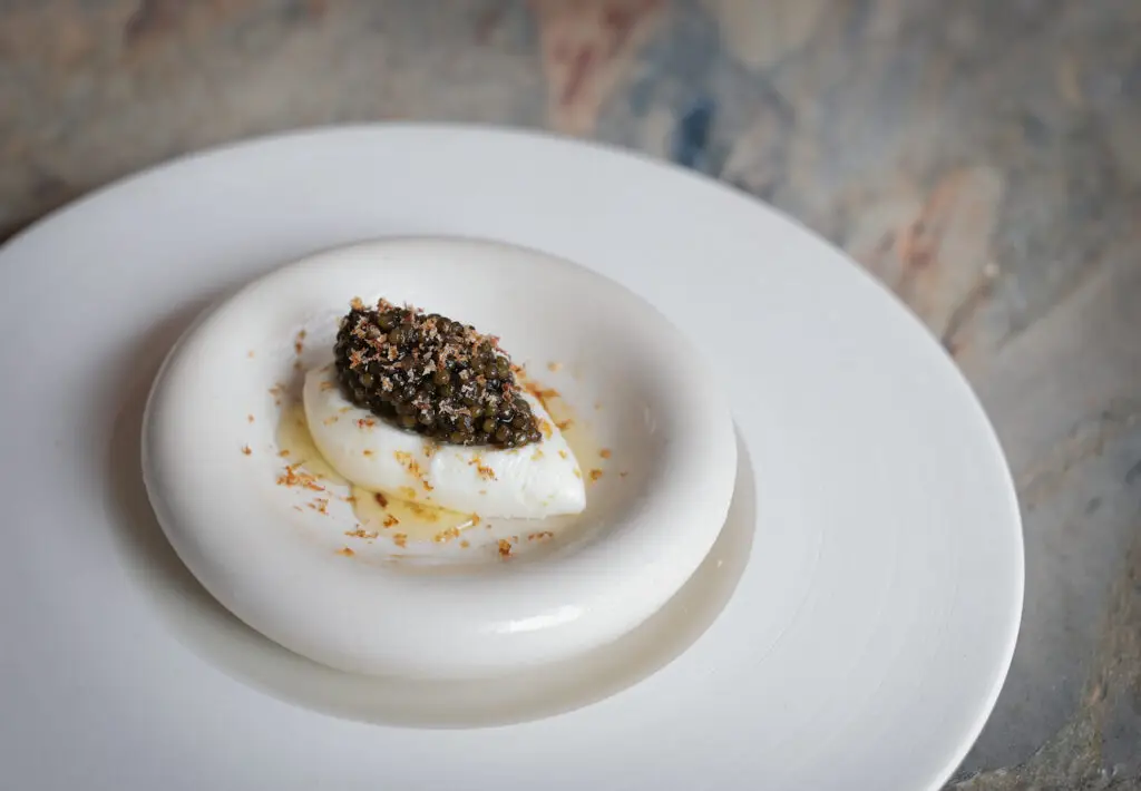 Behind San Diego's Food Scene: Lilo and Wildland Open