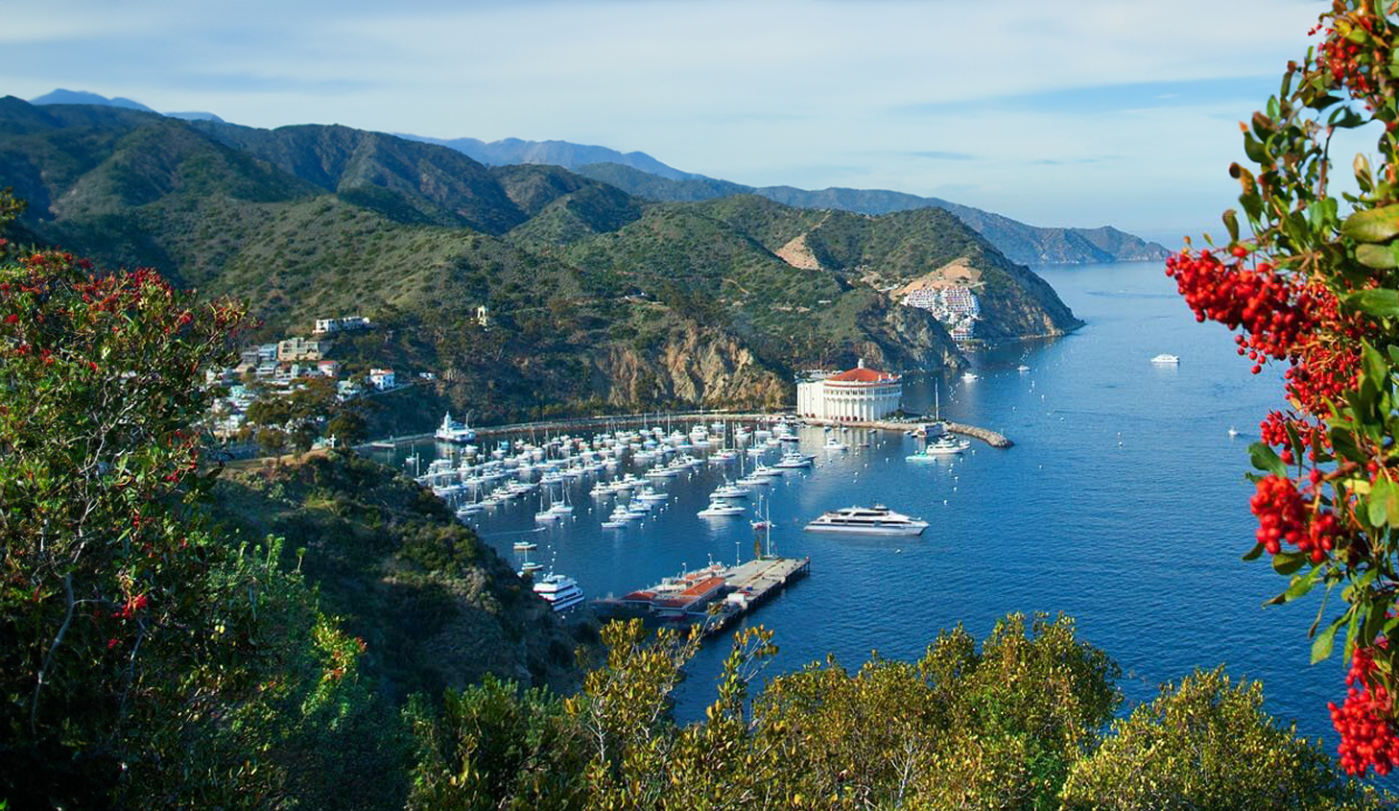 View of downtown Avalon in Catalina Island, an affordable getaway roadtrip near San Diego, CA