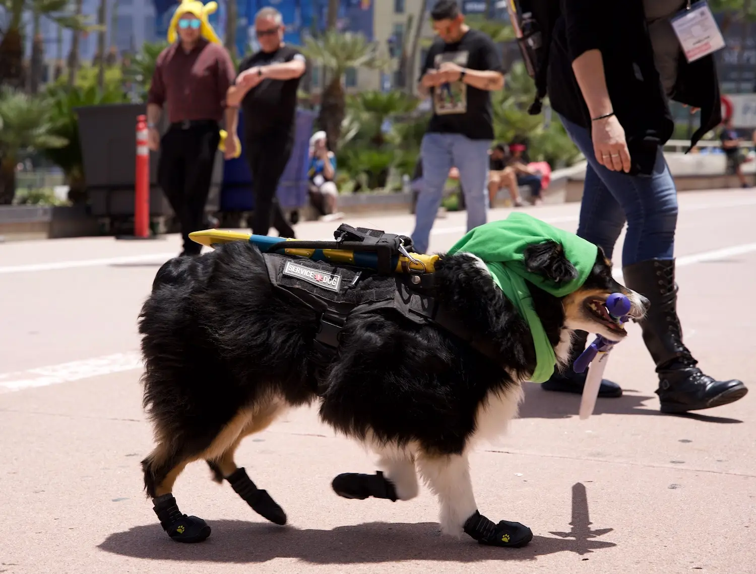 2025 San Diego Comic-Con cosplay dog dressed as link 