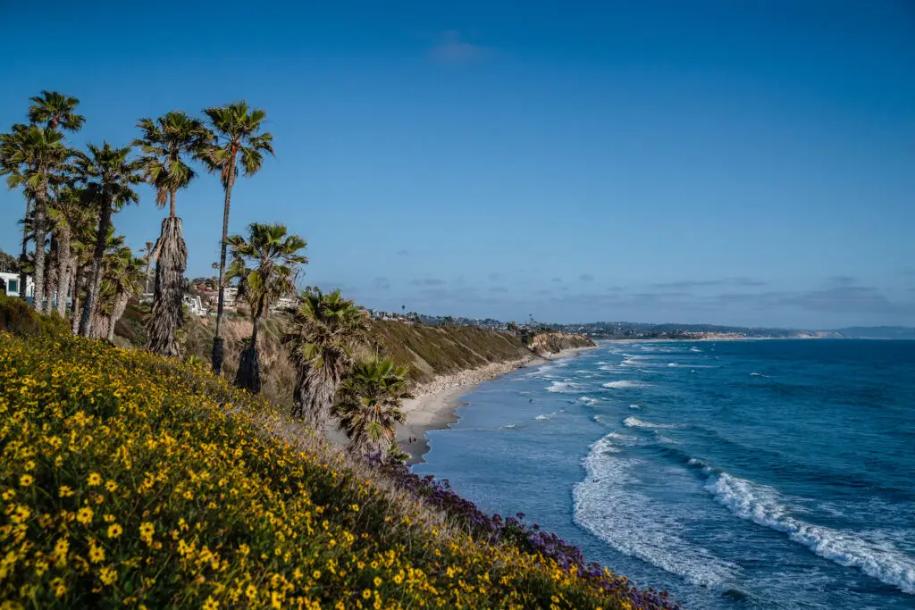 The Locals' Guide to Visiting Encinitas, CA