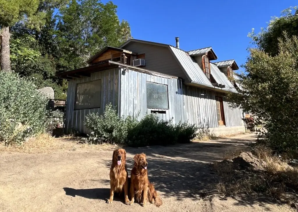 Wildwood Flour Returning as a Working Farm & Ranch