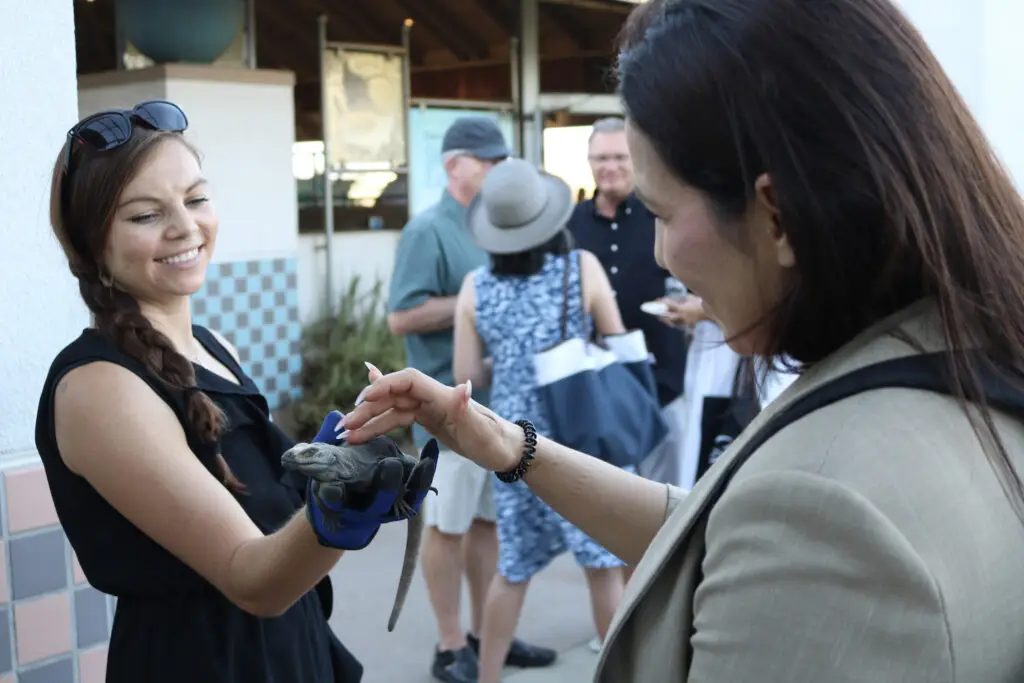 13 San Diego Nonprofit Events to Attend This August