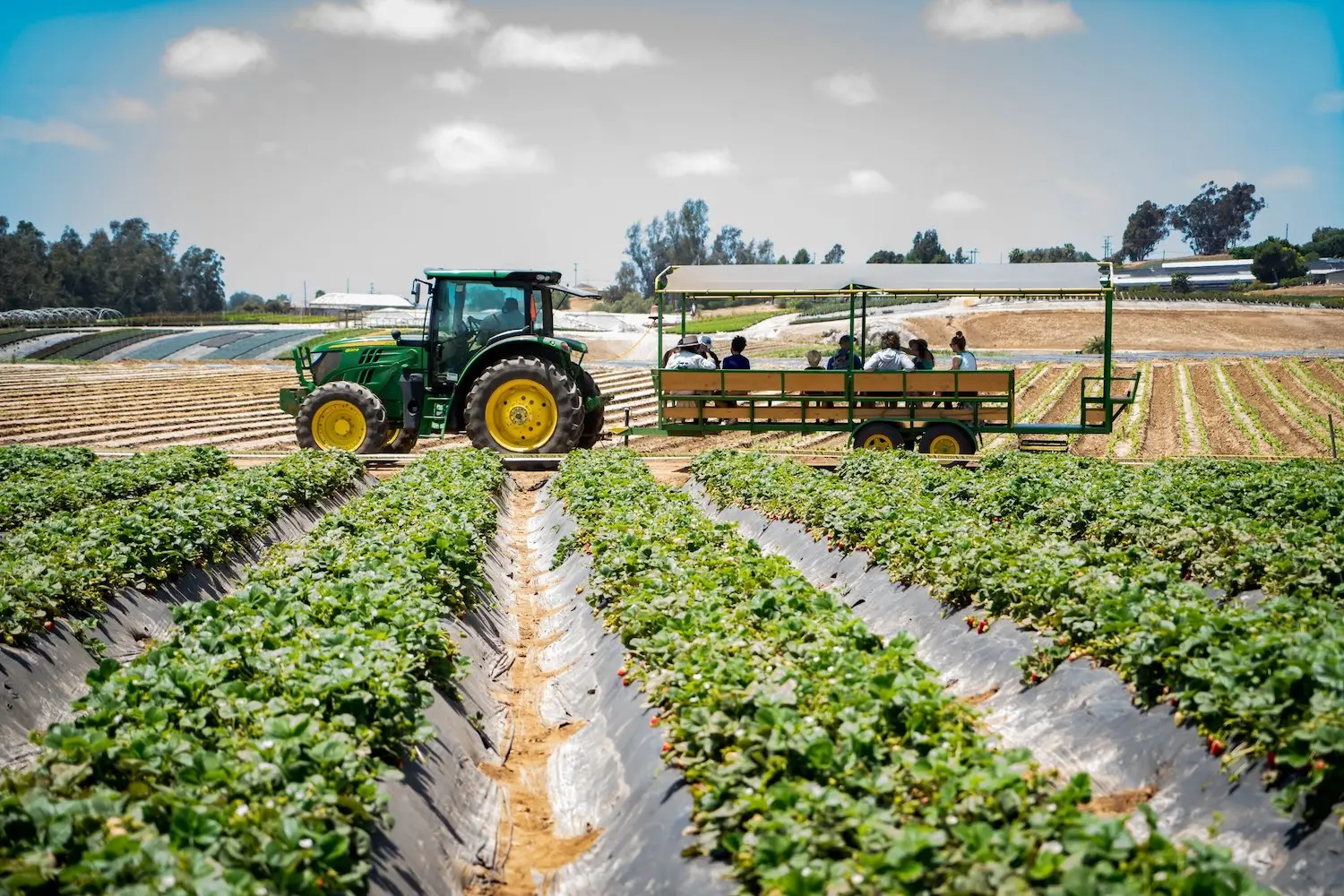 Best of San Diego 2025 edition featuring Mellano Farm Stand in Oceanside