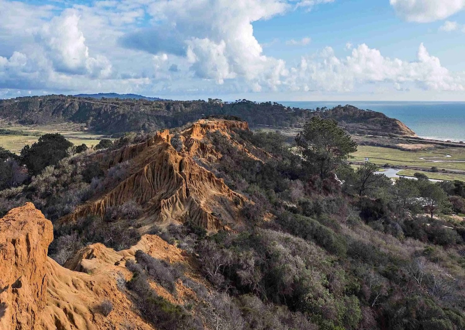 8 of the Most Scenic Hikes & Walking Paths in San Diego