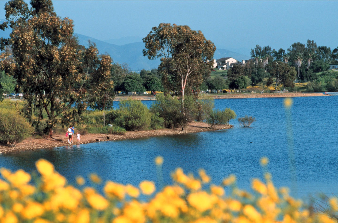 San Diego's best picnic spots at local parks featuring Lake Murray in La Mesa