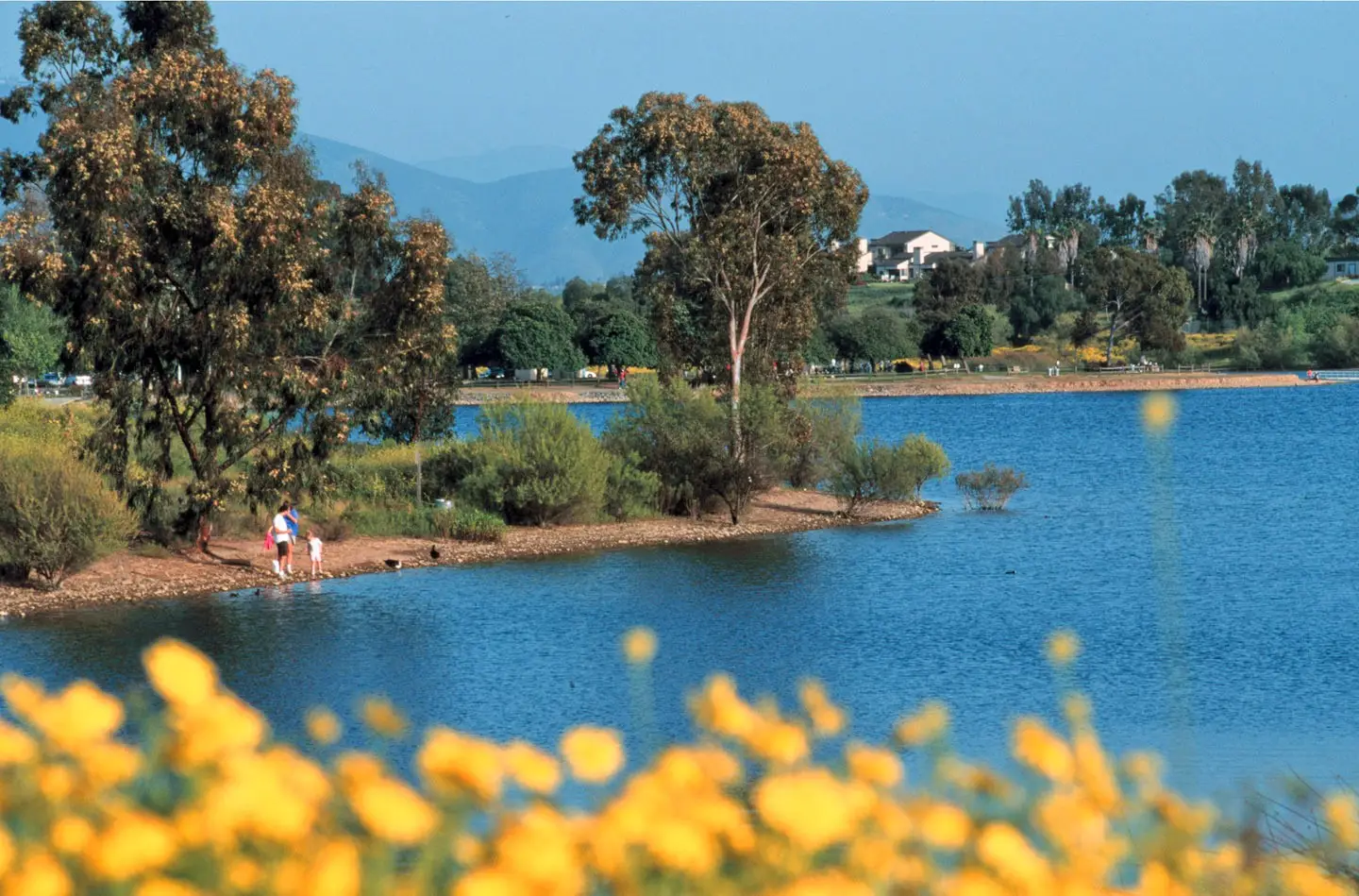San Diego's best picnic spots at local parks featuring Lake Murray in La Mesa