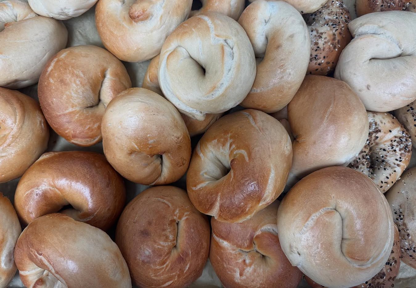 Bagels from San Diego bakery pop-up Desperado Bagels in Ocean Beach
