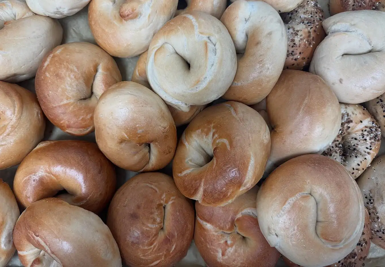 Bagels from San Diego bakery pop-up Desperado Bagels in Ocean Beach
