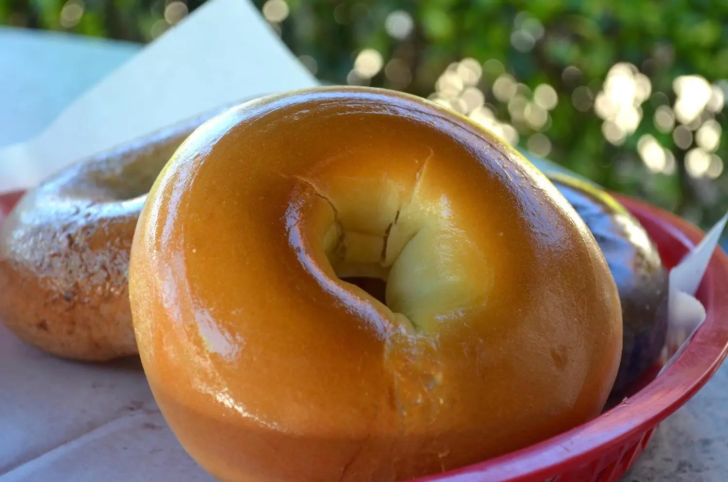 Plain bagel from San Diego bakery shop New York Bagels & Cafe