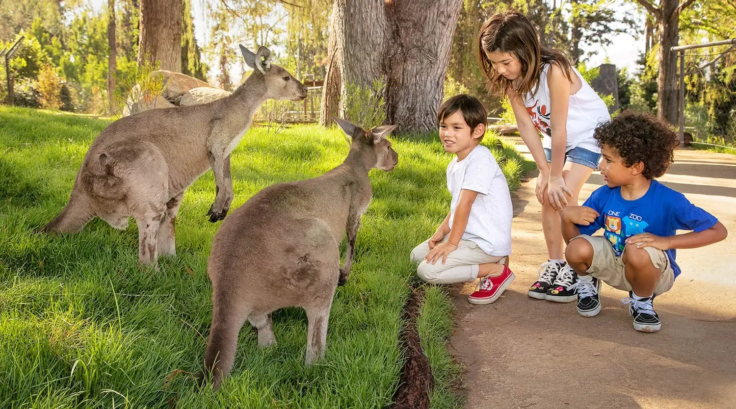 San Diego Magazine's Best of 2025 Reader's Pick winner for Kids, San Diego Zoo Safari Park