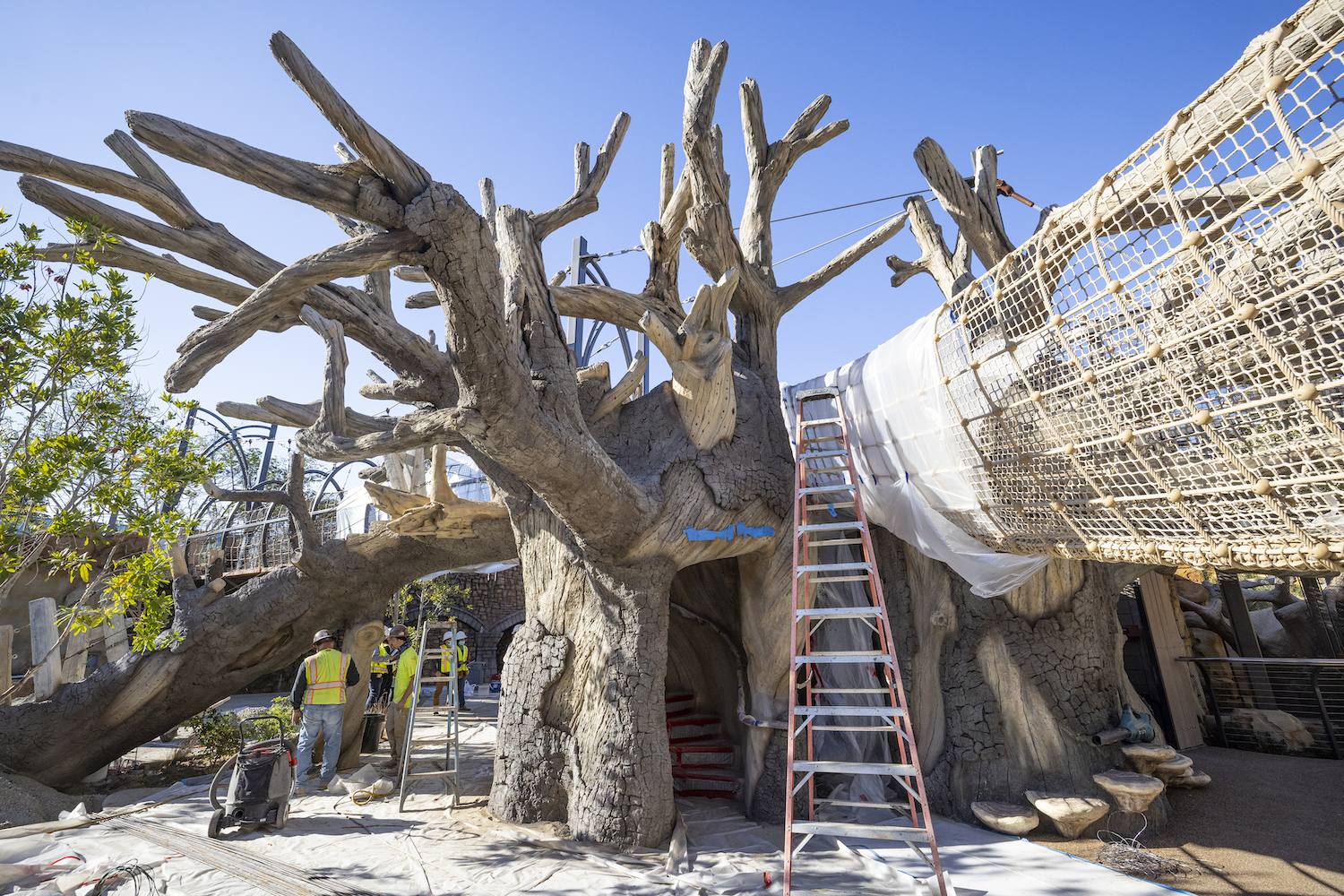San Diego Zoo Wildlife Explorers Basecamp construction
