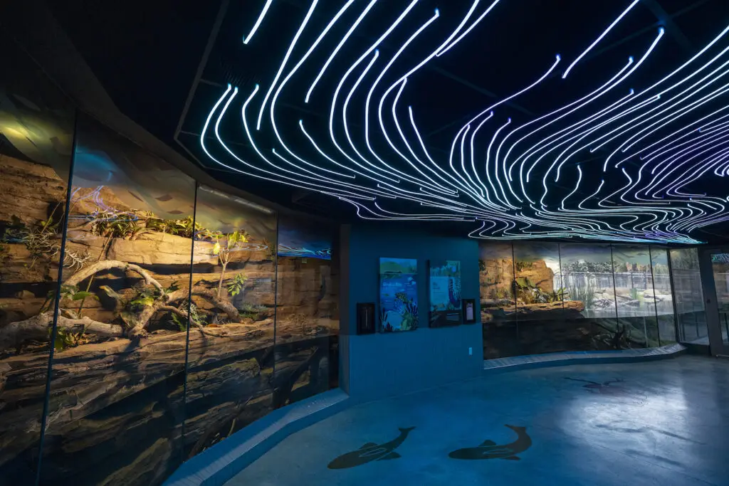 How the San Diego Zoo & Safari Park Create World-Class Exhibits