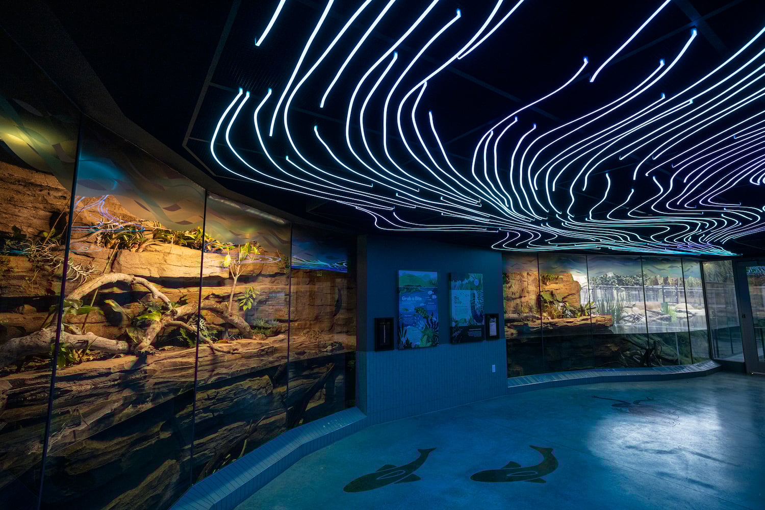How the San Diego Zoo & Safari Park Create World-Class Exhibits