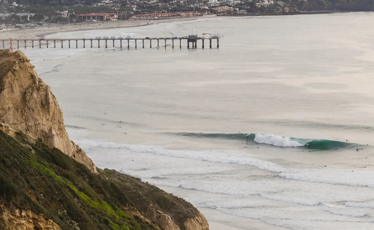 Surfers at Blacks Beach San Diego