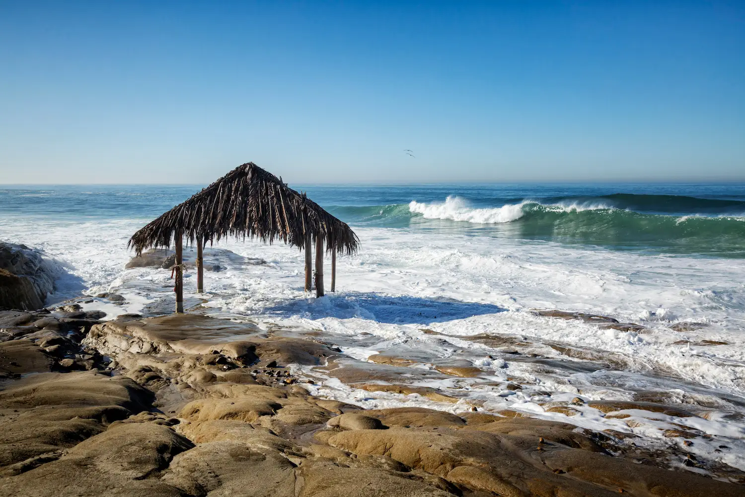 Windansea Beach surf shack in La Jolla, San Diego 