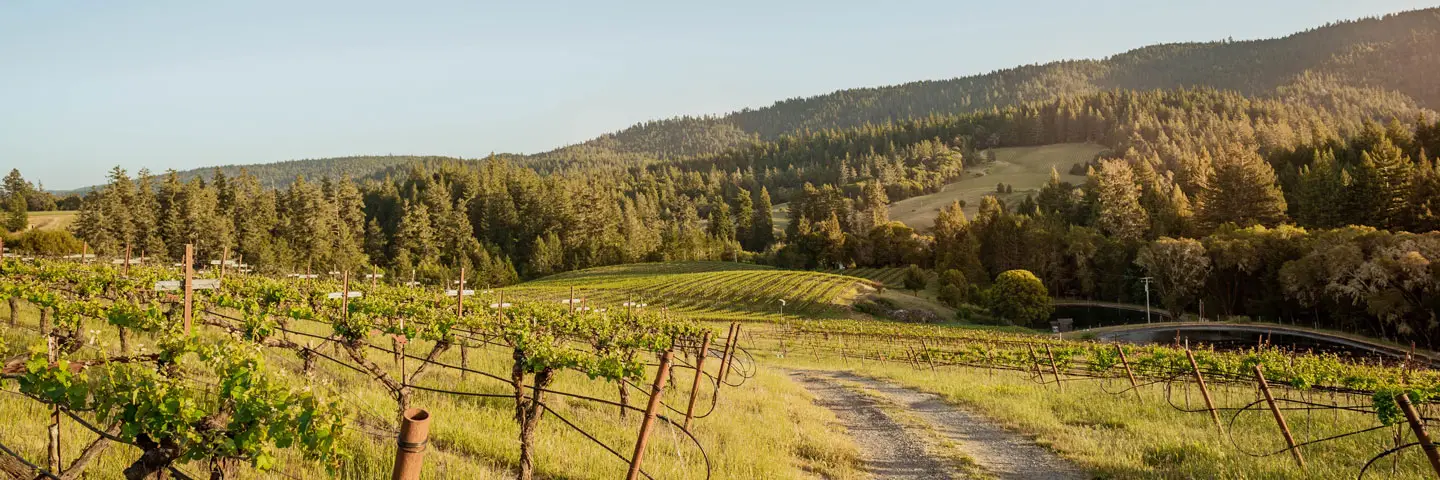 California winery Husch Vineyards in Mendocino