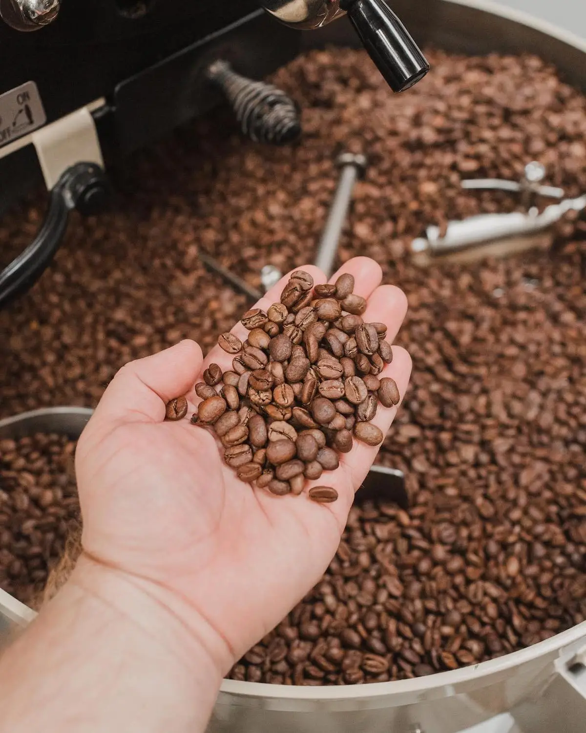 Coffee Beans sourced by San Diego coffee shop Necessity Coffee in Encinitas