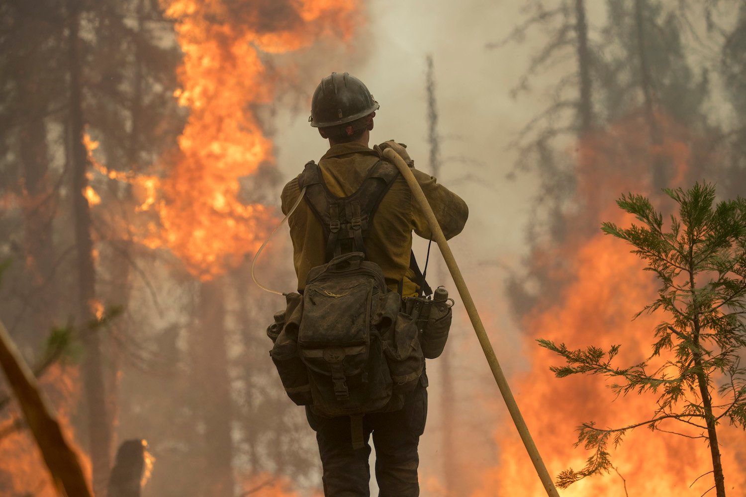 California firefighters battling wildfires