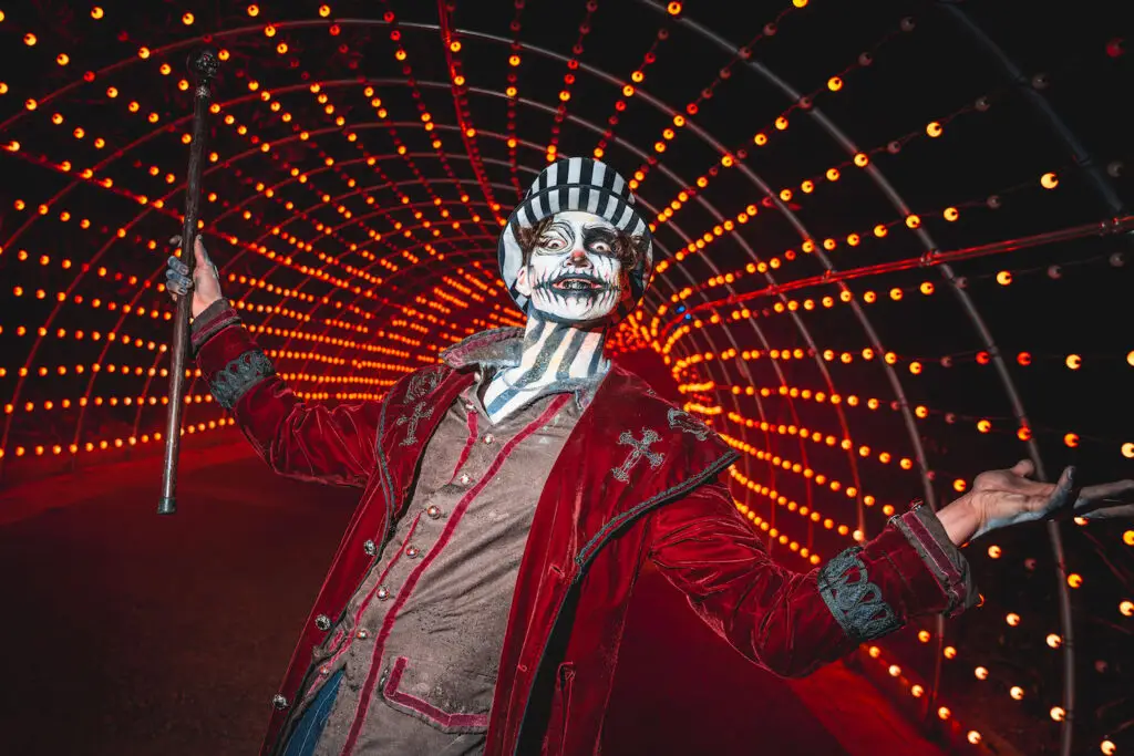 Where to Celebrate Halloween in San Diego This Year