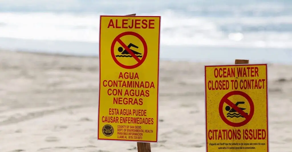 Scripps’s New Tool Predicts Ocean Contamination Days in Advance