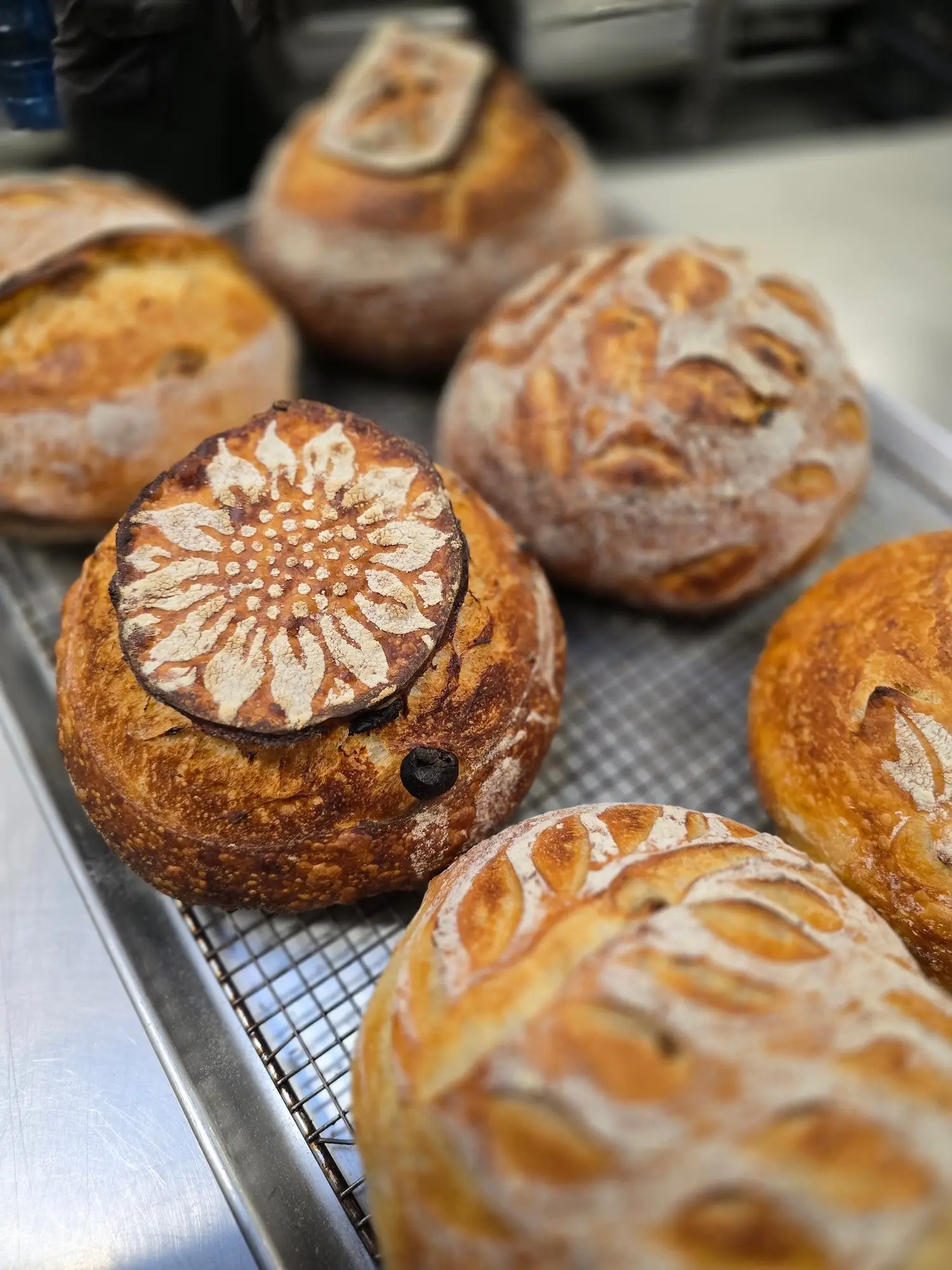 San Diego bakery opening in Ocean Beach called Sourdough & Moore
