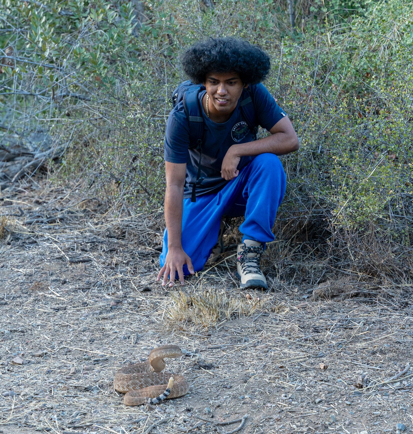A red diamond rattlesnake at Mission Trails found by San Diego wildlife influencer Wildlife Gannon Stephen Cruz