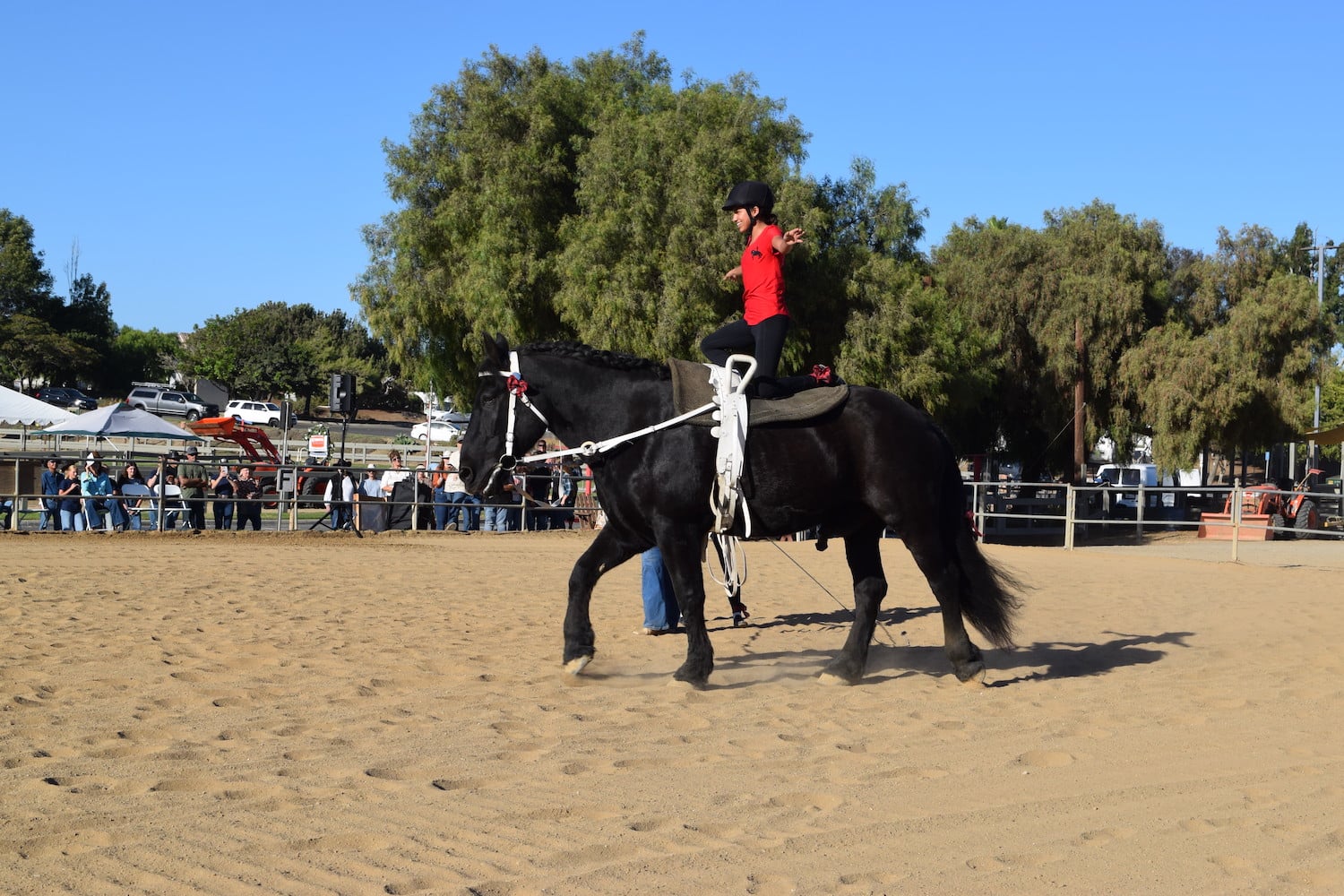 San Diego nonprofit Ivey Ranch Park Association's annual hoedown celebration event in Oceanside