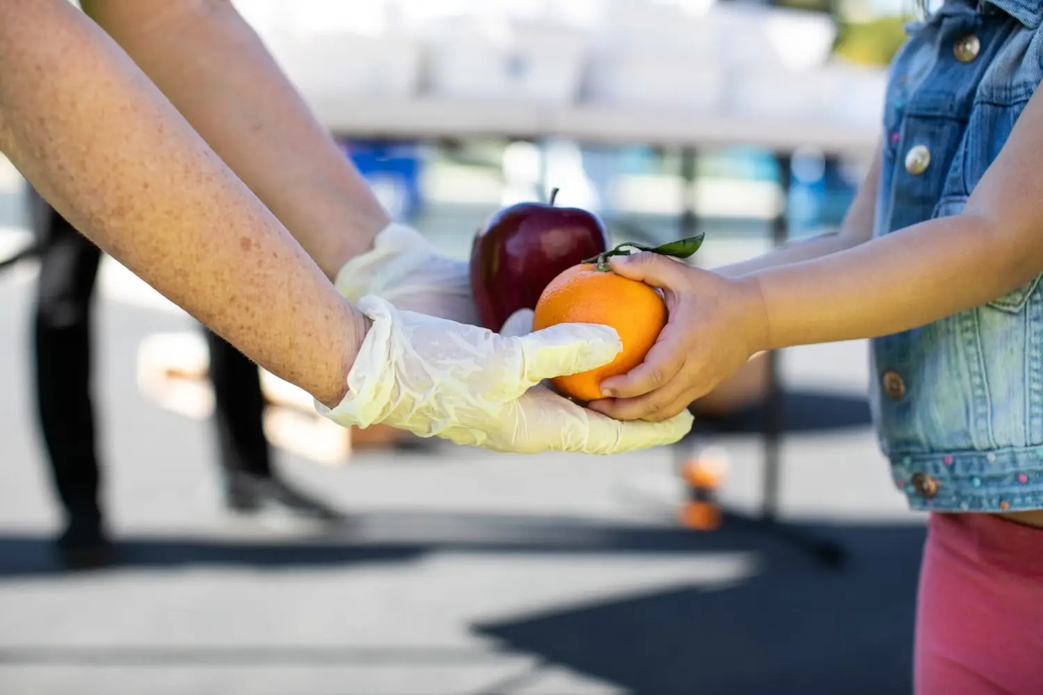San Diego food bank from local nonprofit Feeding San Diego