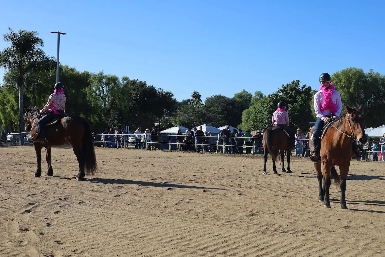 San Diego nonprofit Ivey Ranch Park Association's annual hoedown celebration event in Oceanside