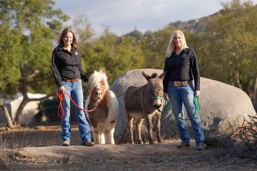 Robin’s Nest Rescue Gives Farm Animals a Second Chance