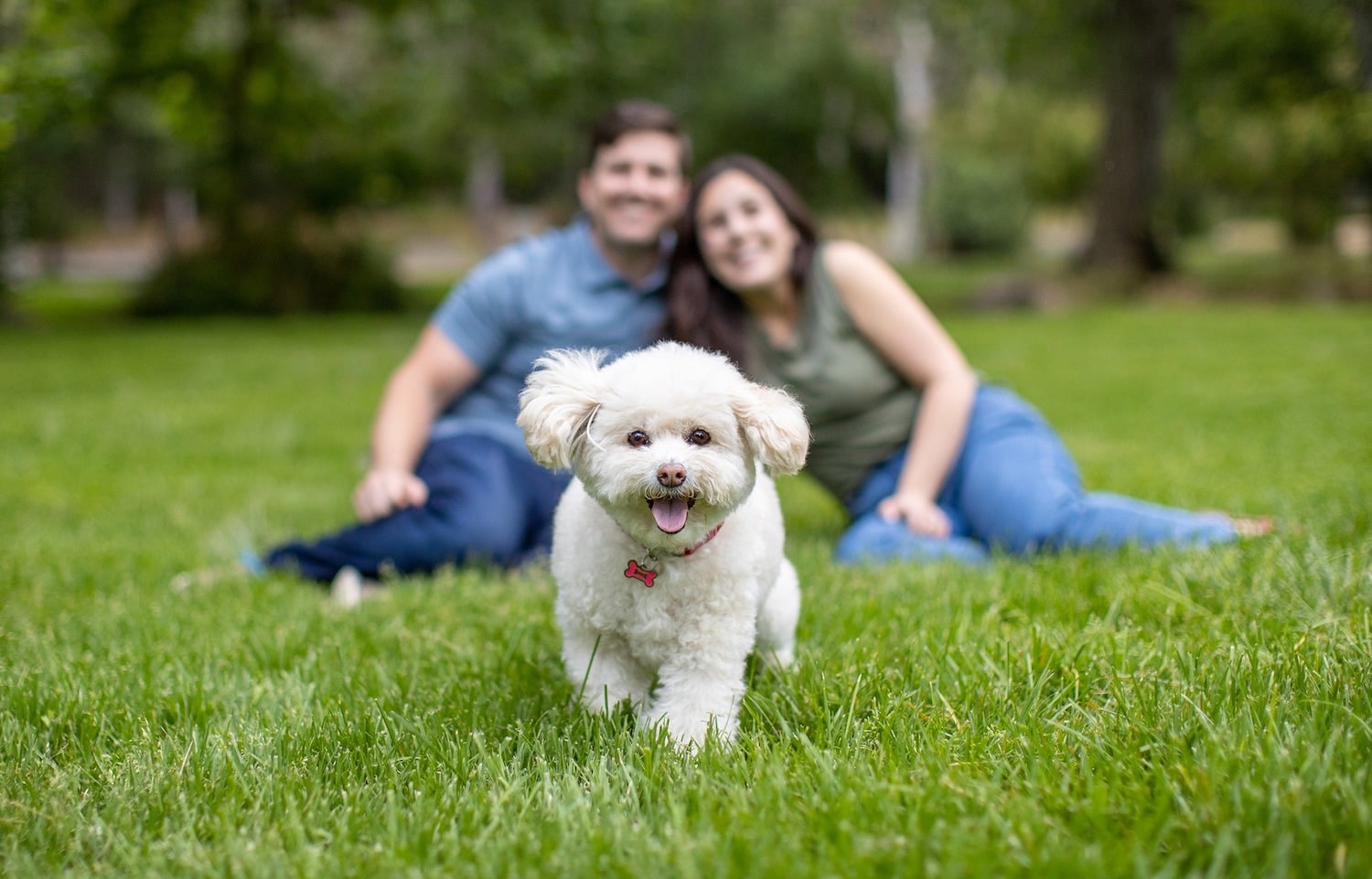 San Diego Magazine's 2025 Cutest Pets Winners