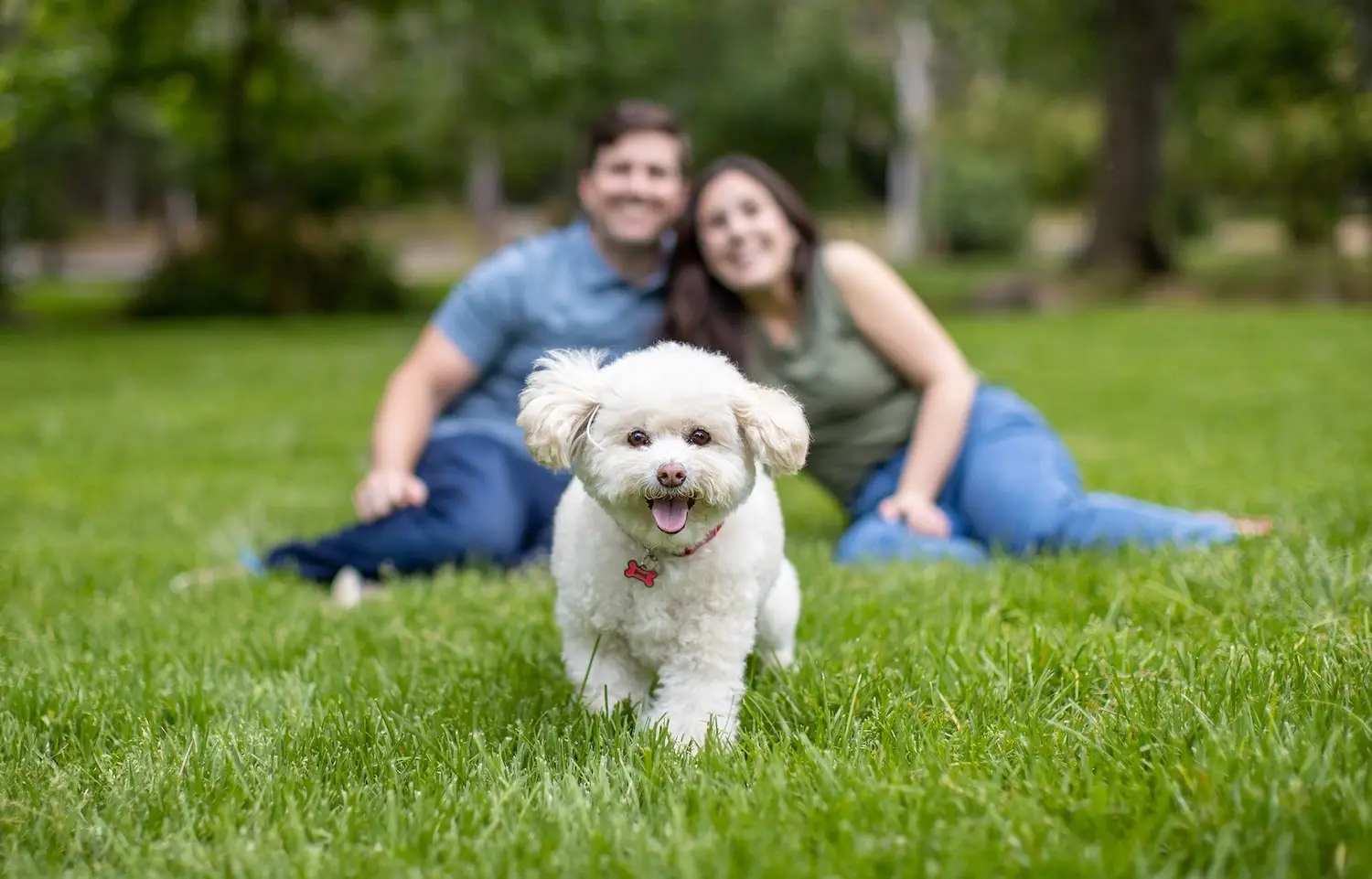 San Diego Magazine's Cutest Pets Contest 2025 winners featuring photography from Allison Shamrell Pet Photography