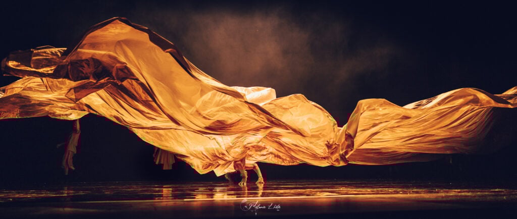 The Best Things to Do in San Diego: January 2026