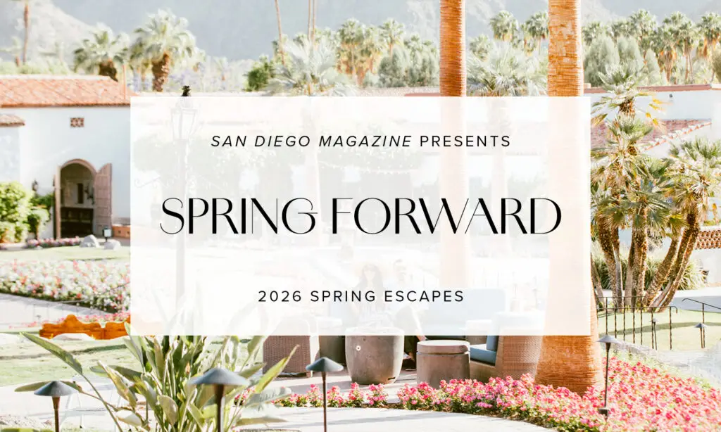 Spring Forward: 2026 Spring/Desert Escapes