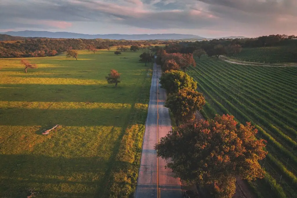 The Ultimate California Coast Road Trip in 2026