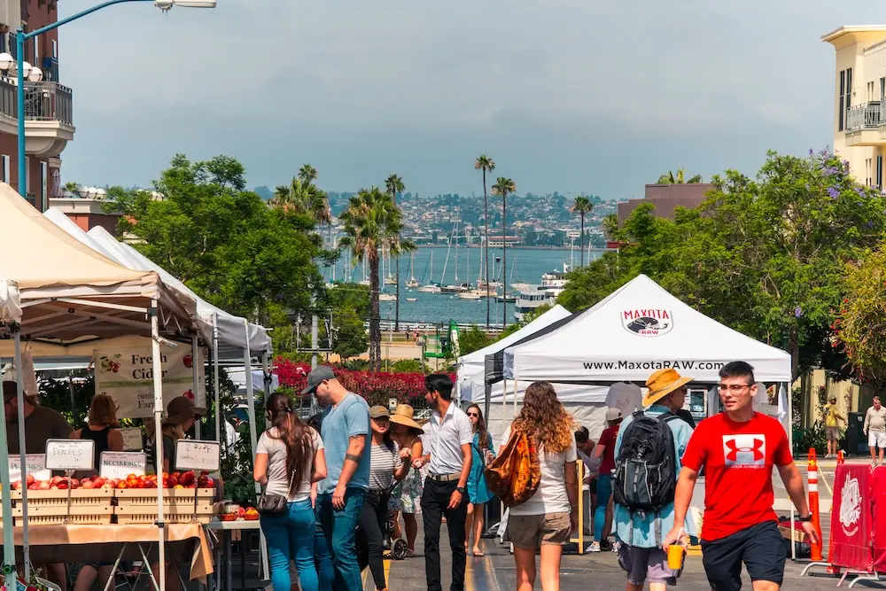 Publisher's Note: 101 Reasons to Be Human, May 2026