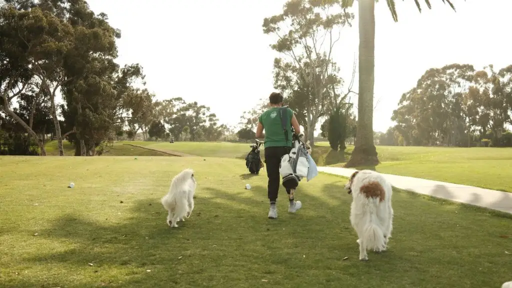 Where to Golf with Your Dog in San Diego