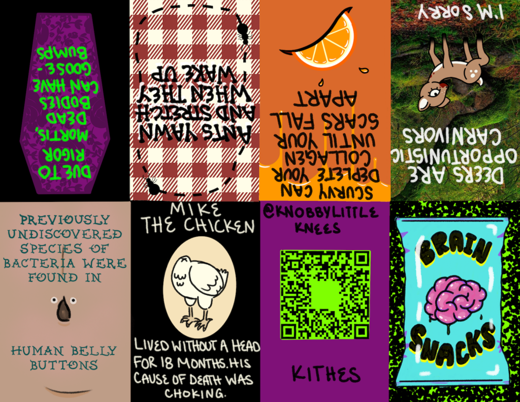 San Diego’s Zine Scene Has No Rules
