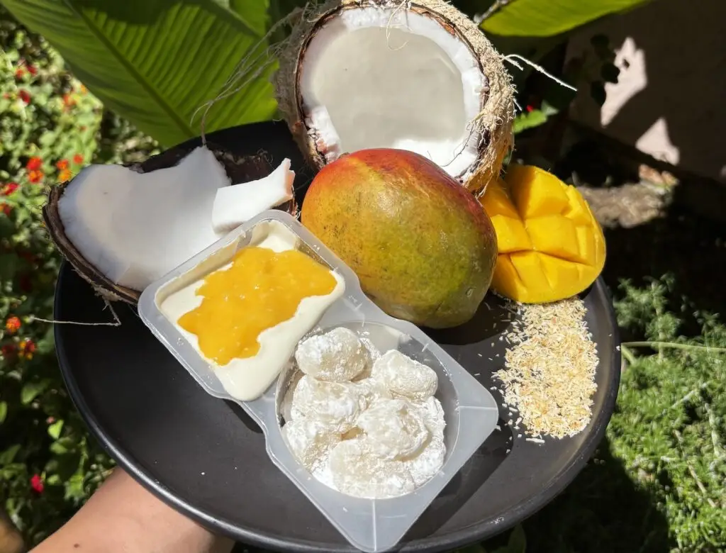 High-Protein Mochi Arrives in San Diego